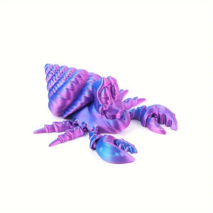 Divertido Cangrejo Ermitaño